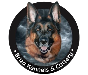 Briza Kennels & Cattery